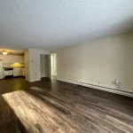 Thumbnail of 
