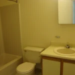 Thumbnail of 